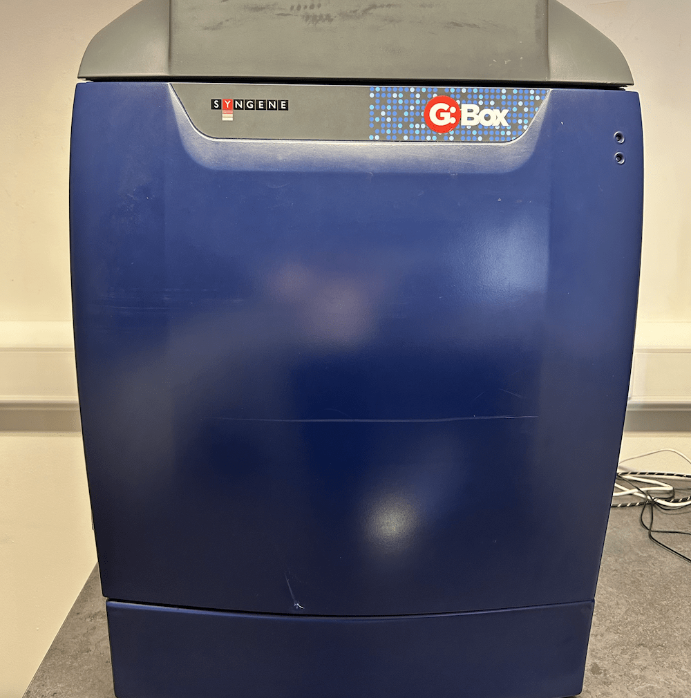 Syngene G:BOX Chemi XX6 Gel Documentation System, image 4