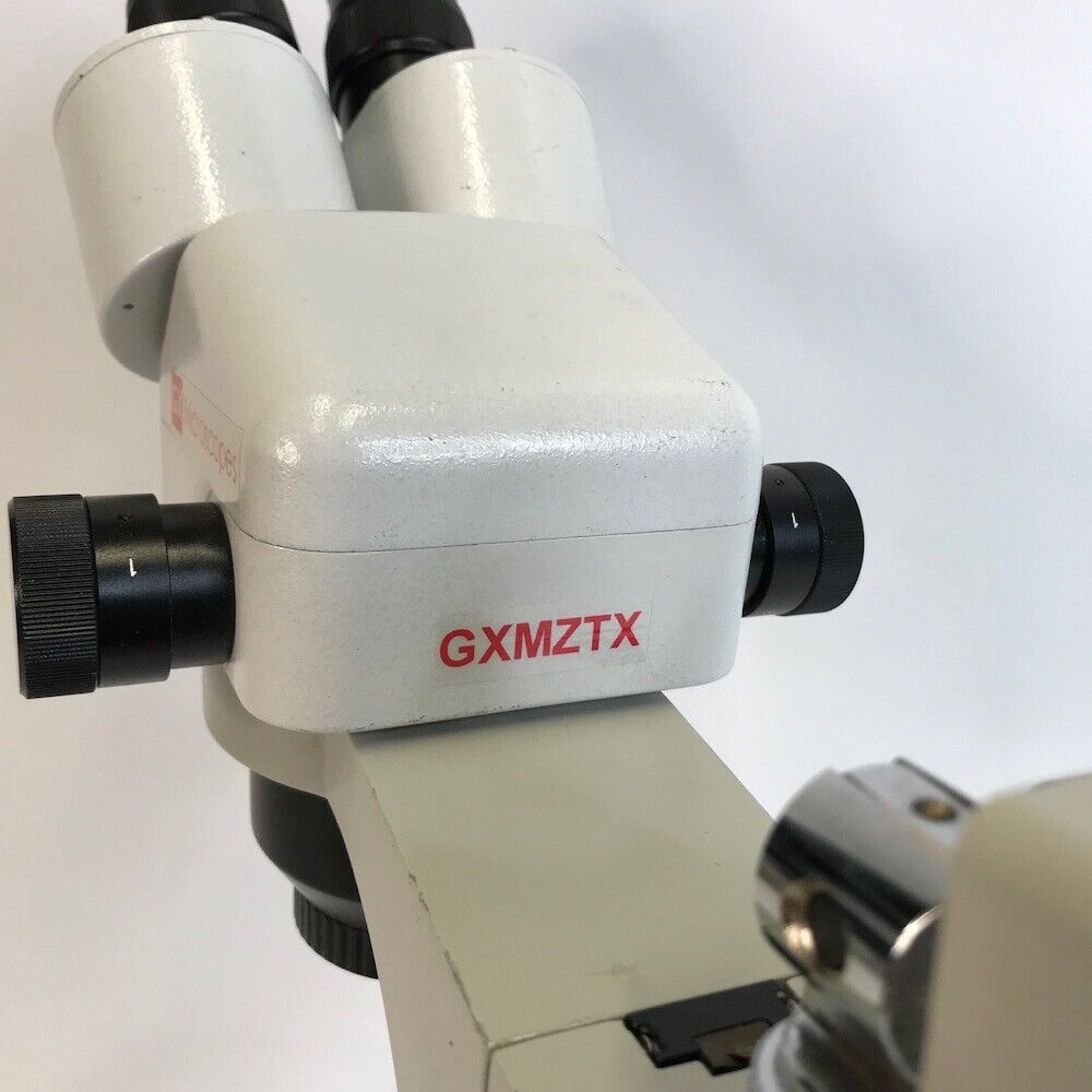 GX Microscopes GXMZTX Stereo Zoom Microscope (5x to 20x, boom stand), image 2