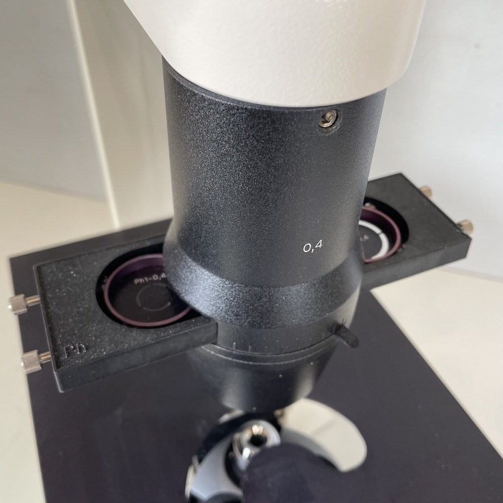 Zeiss Axiovert 40 CFL Inverted Microscope