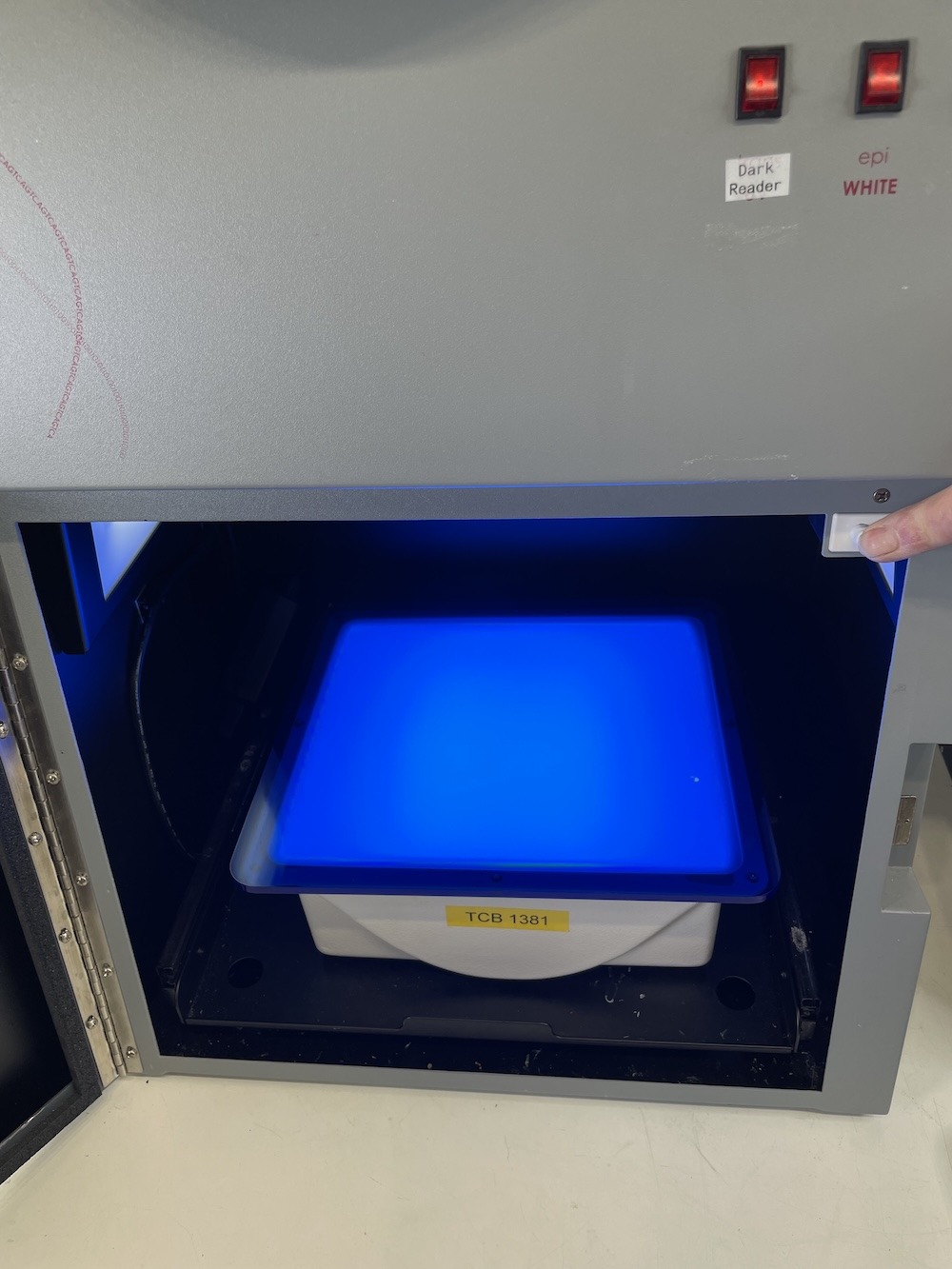 Alpha Innotech MultiImage I Gel Documentation System, image 6