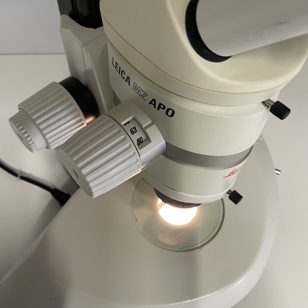 Leica MZ APO Stereo Microscope Plan Apo 1.0x C-W10x/21, image 3