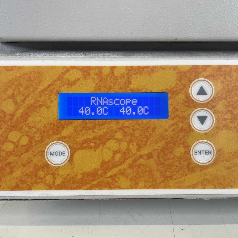 Boekel Scientific HybEZ II Hybridization Oven (240200ACD-2), image 5