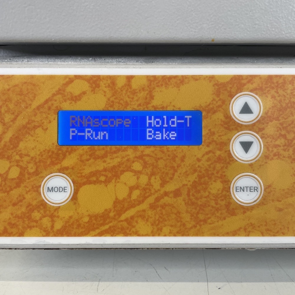 Boekel Scientific HybEZ II Hybridization Oven (240200ACD-2), image 6