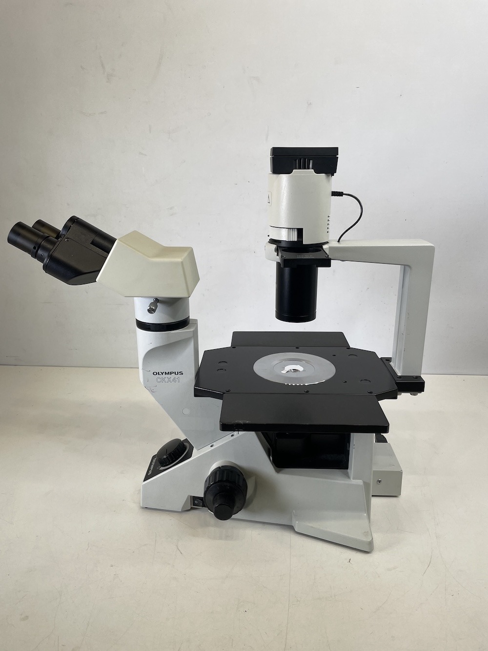 Olympus CKX41 Inverted Microscope (Binocular)