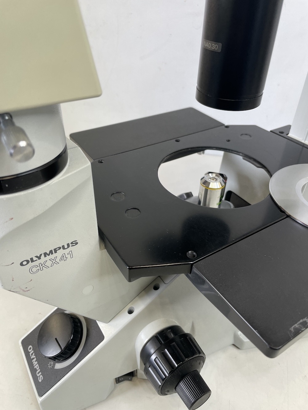 Olympus CKX41 Inverted Microscope (Binocular), image 3