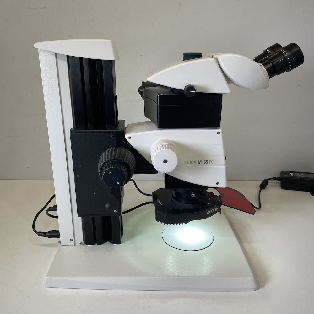 Leica M165 FC Fluorescent Stereo Microscope, image 4