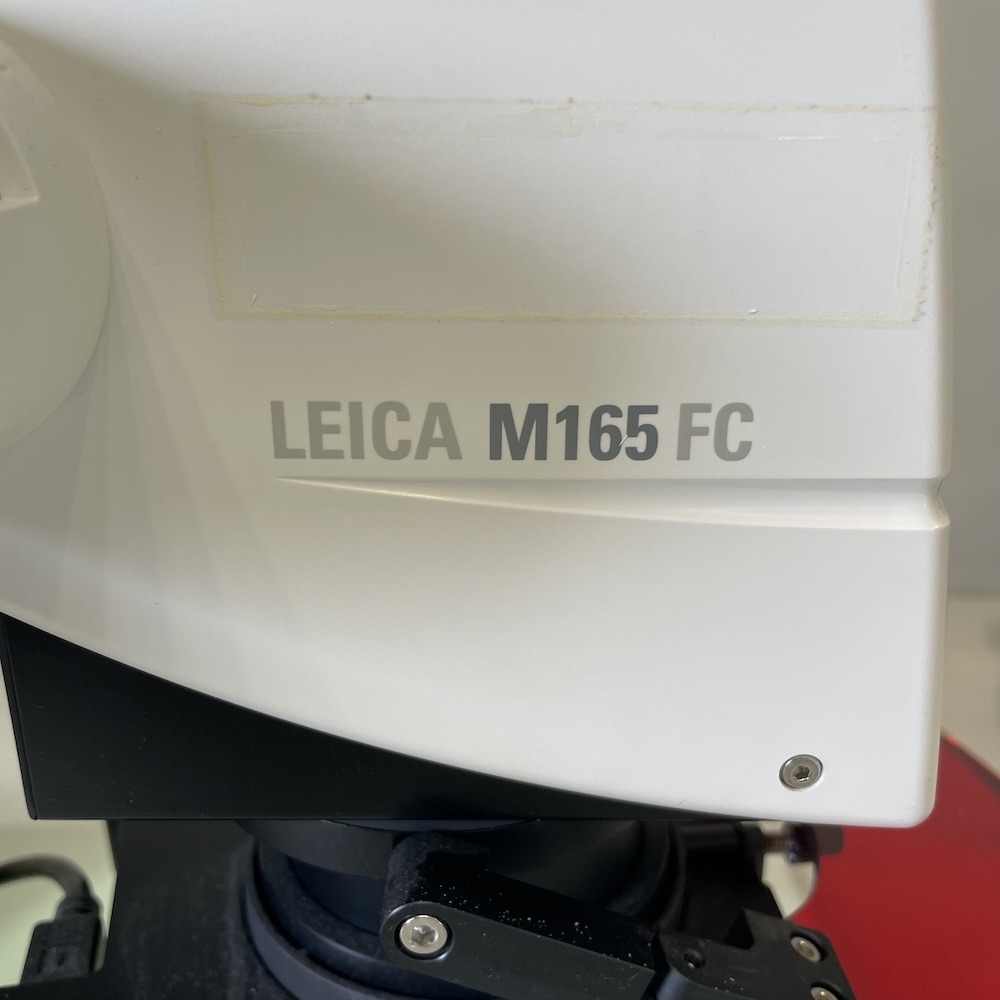 Leica M165 FC Fluorescent Stereo Microscope, image 5