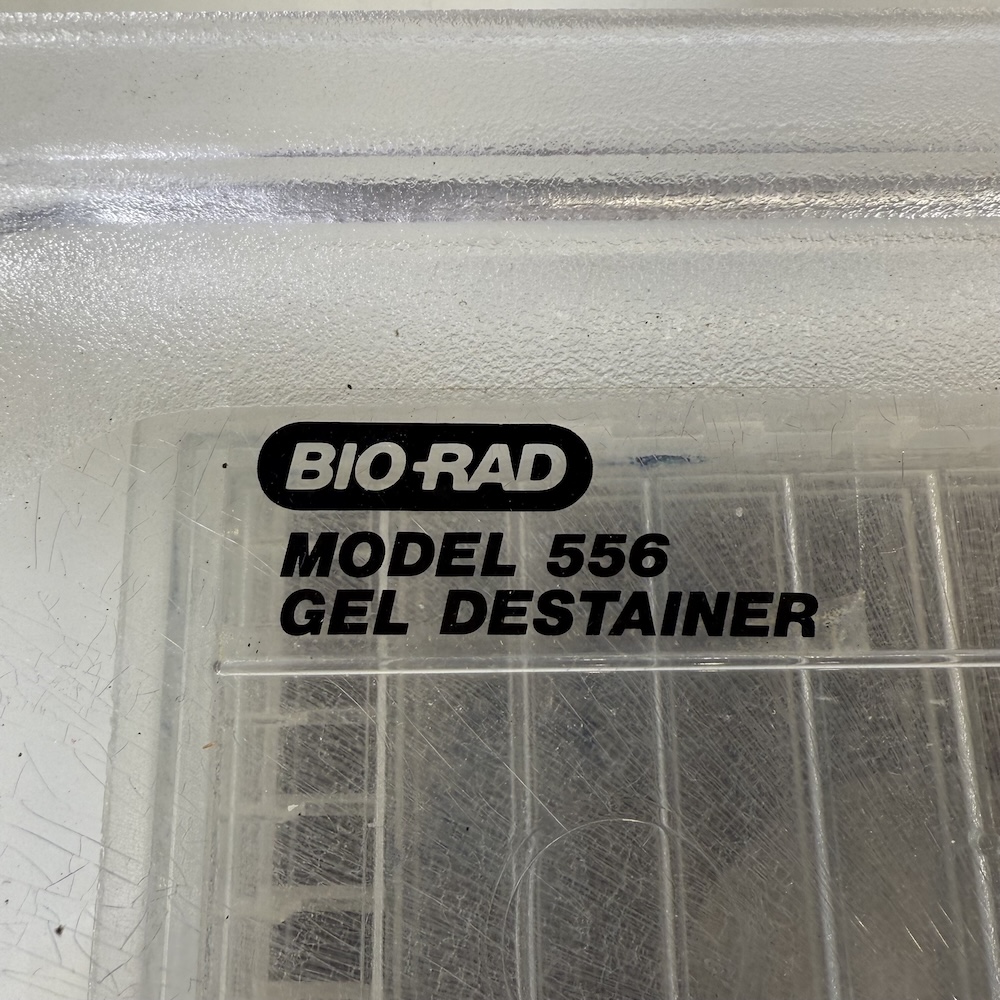 BIO-RAD Model 556 Gel Destainer #1652010, image 3