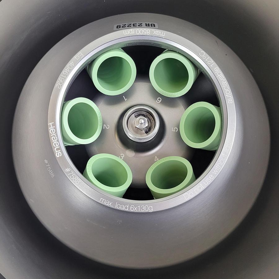 Thermo Scientific Heraeus Biofuge Primo, image 4
