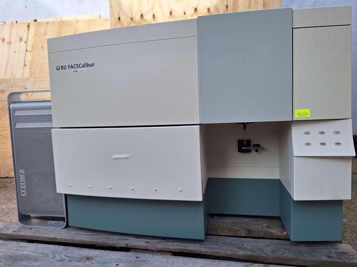 BD FACSCalibur Flow Cytometer, image 2