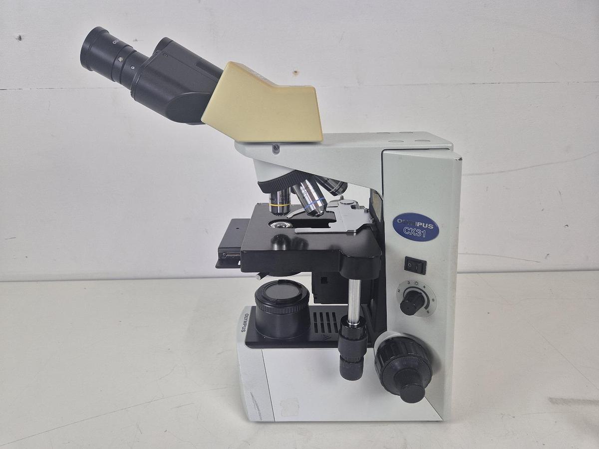 Olympus CX31RBSF Microscope, image 2