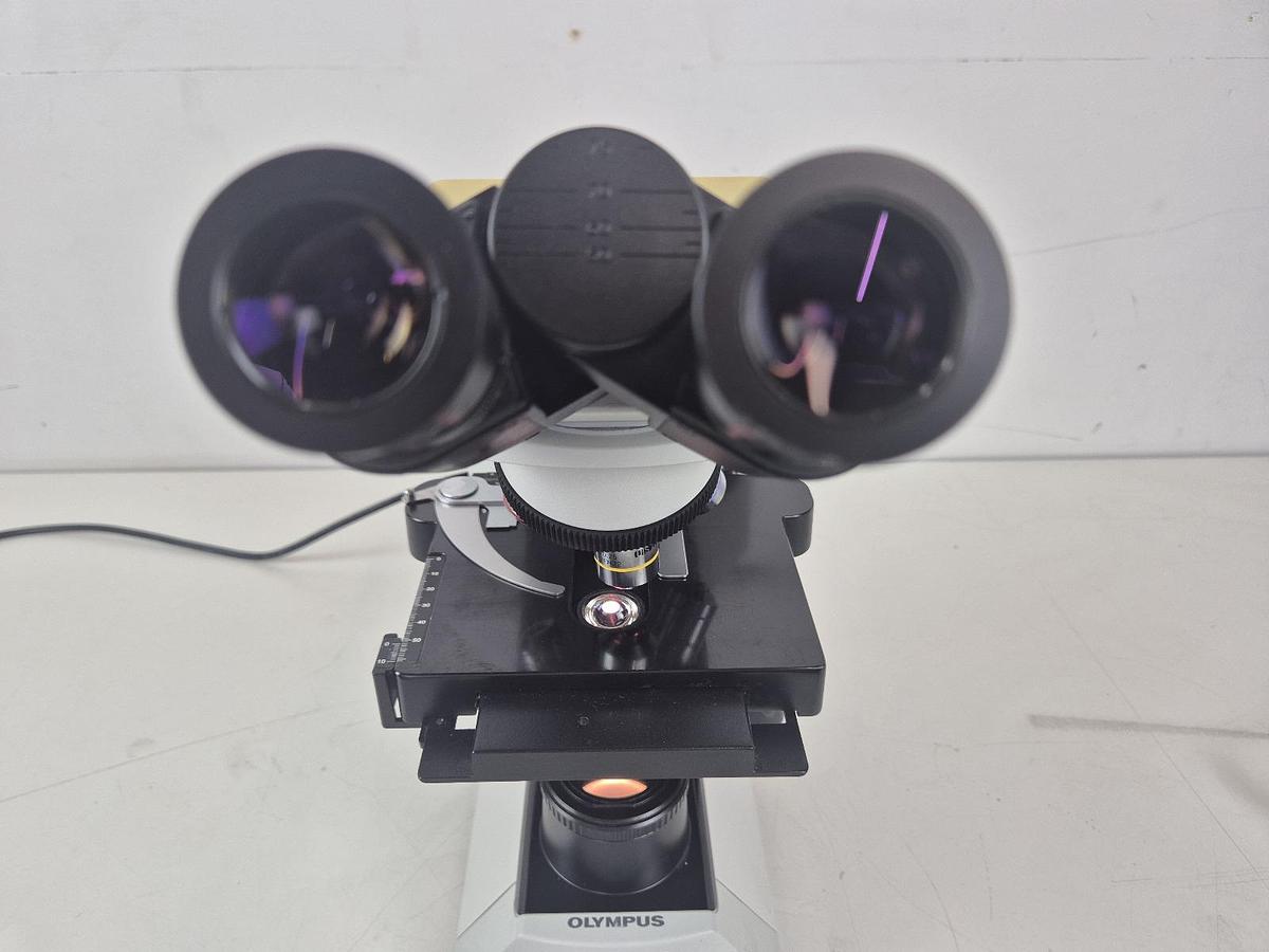 Olympus CX31RBSF Microscope, image 7