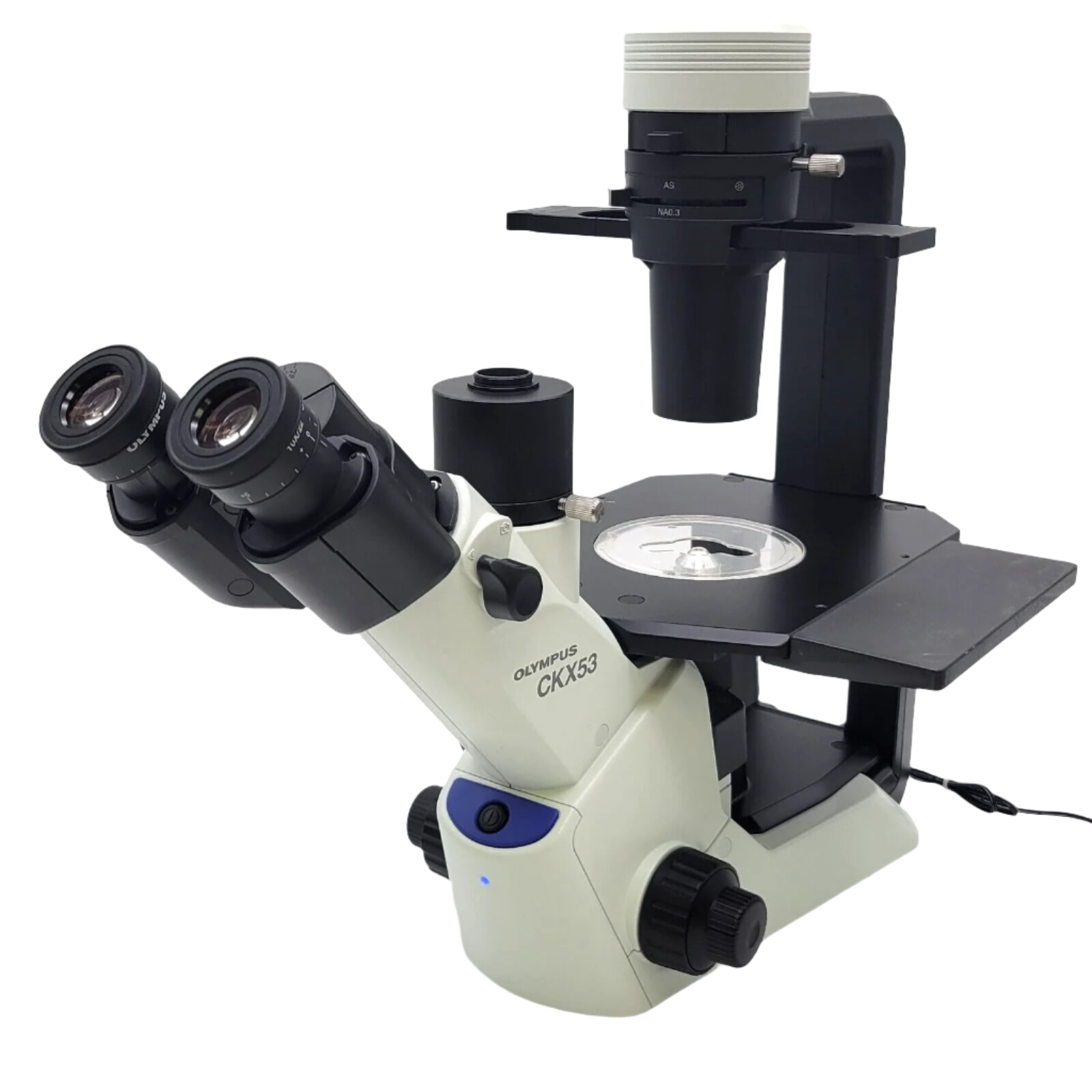 Olympus CKX53 Inverted Microscope (iPC Objectives)