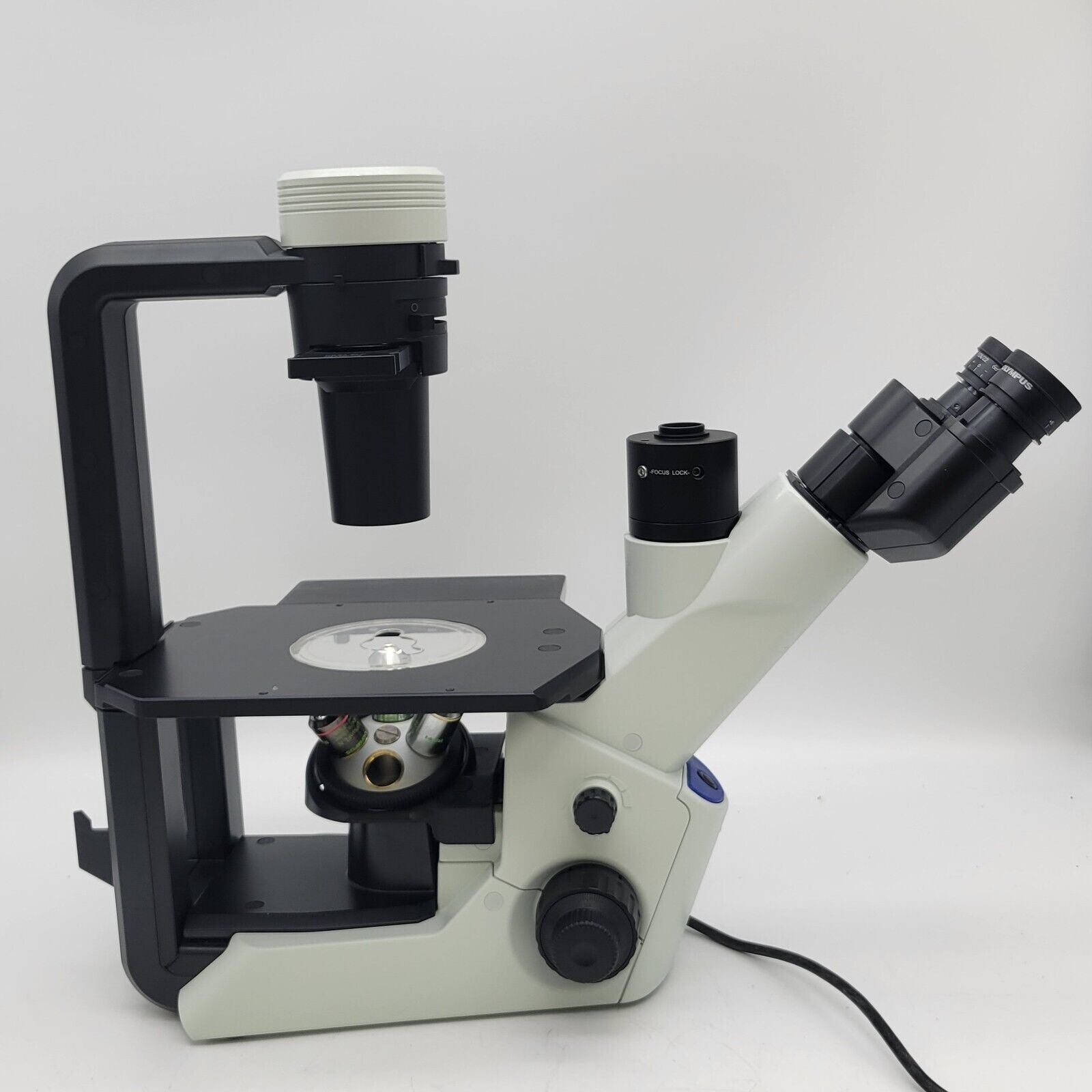 Olympus CKX53 Inverted Microscope (iPC Objectives), image 4