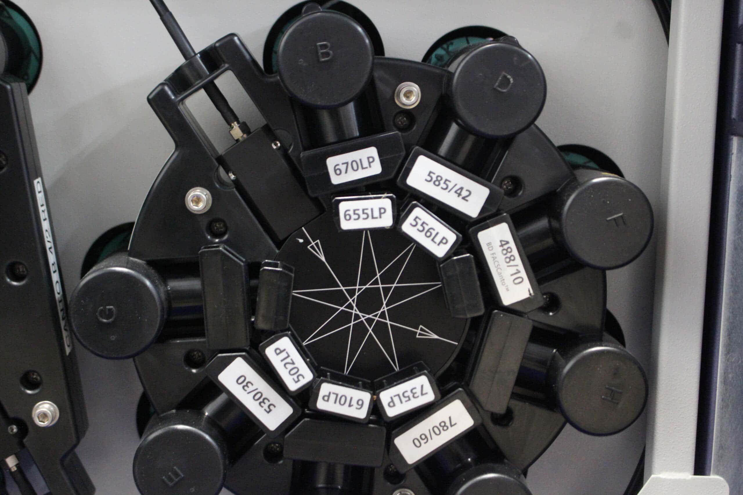 BD FACSCanto II Flow Cytometer, image 3
