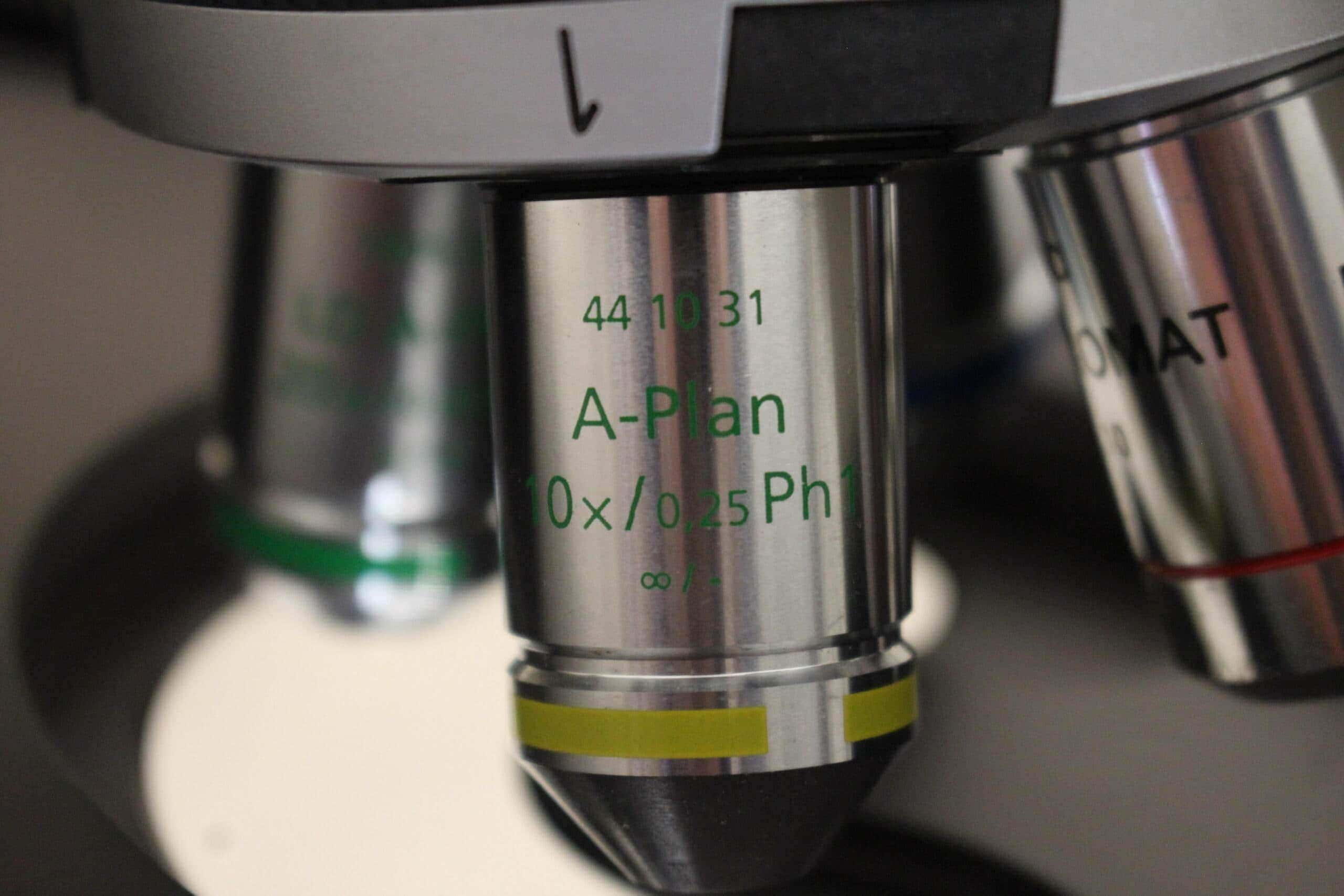 Zeiss Axiovert 40 CFL Inverted Fluorescence Microscope, image 5