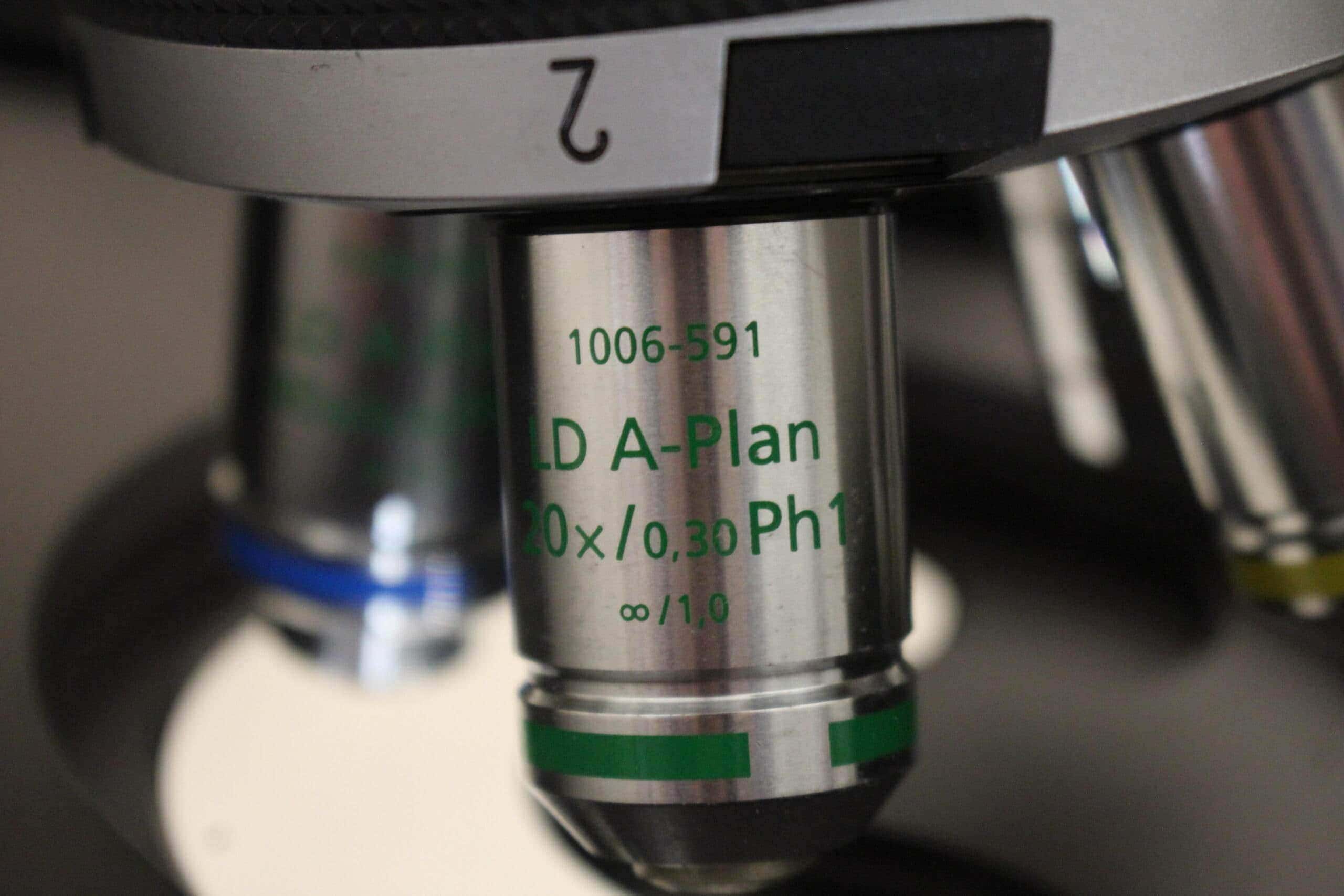 Zeiss Axiovert 40 CFL Inverted Fluorescence Microscope, image 6