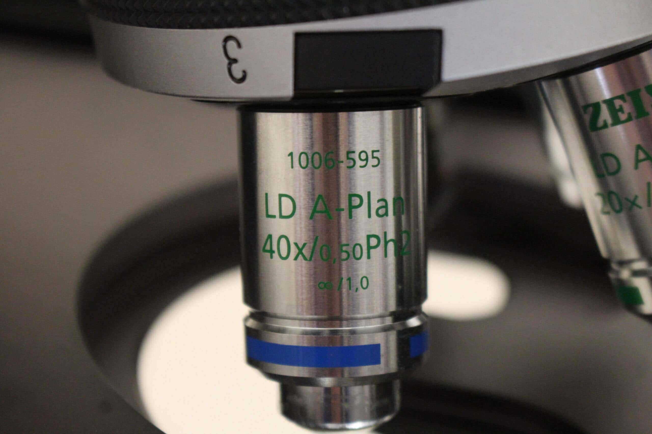 Zeiss Axiovert 40 CFL Inverted Fluorescence Microscope, image 7