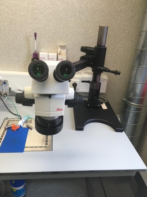 Leica M80 Stereomicroscope
