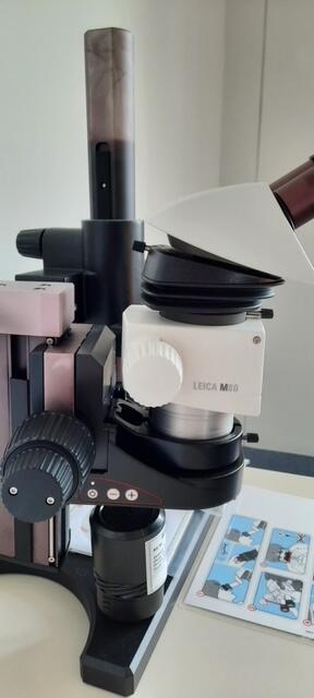 Leica M80 Stereomicroscope, image 3