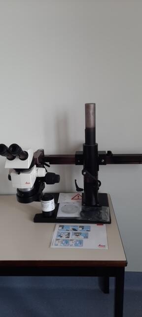 Leica M80 Stereomicroscope, image 4