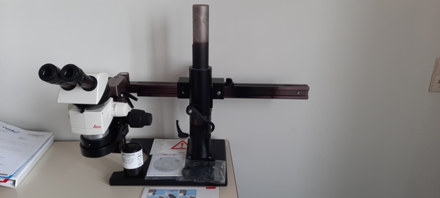 Leica M80 Stereomicroscope, image 5