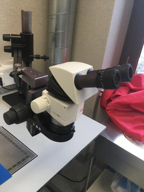 Leica M80 Stereomicroscope, image 6