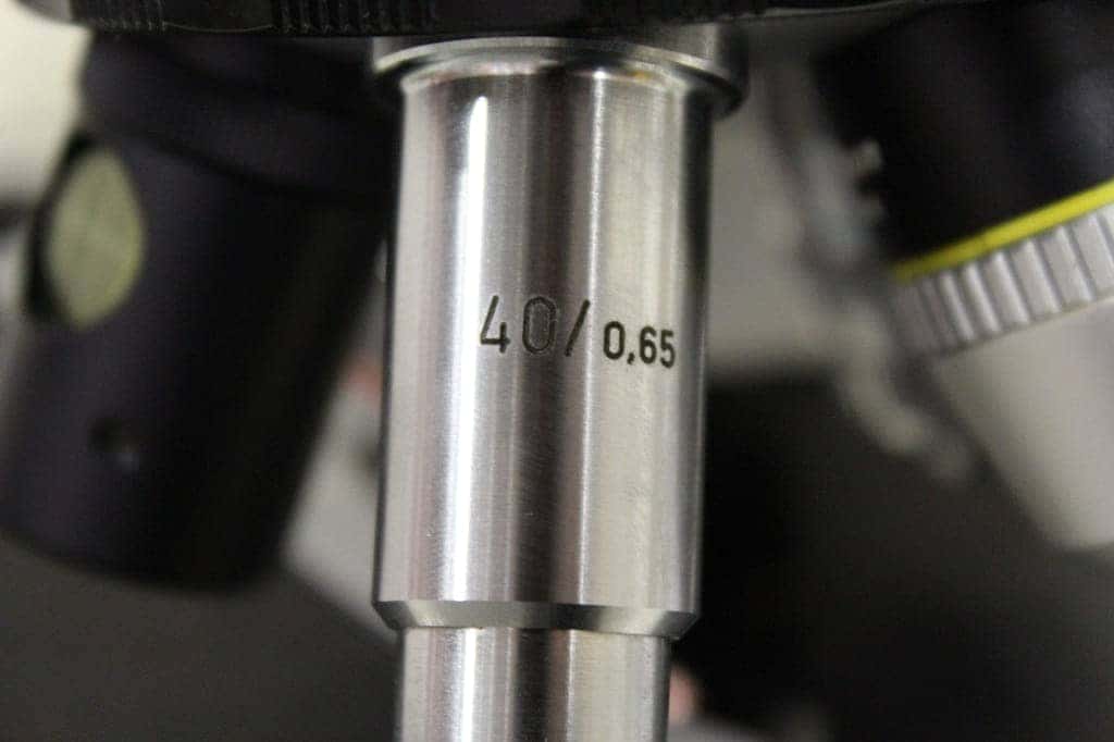 Nikon Labophot Binocular Fluorescence Microscope, image 2