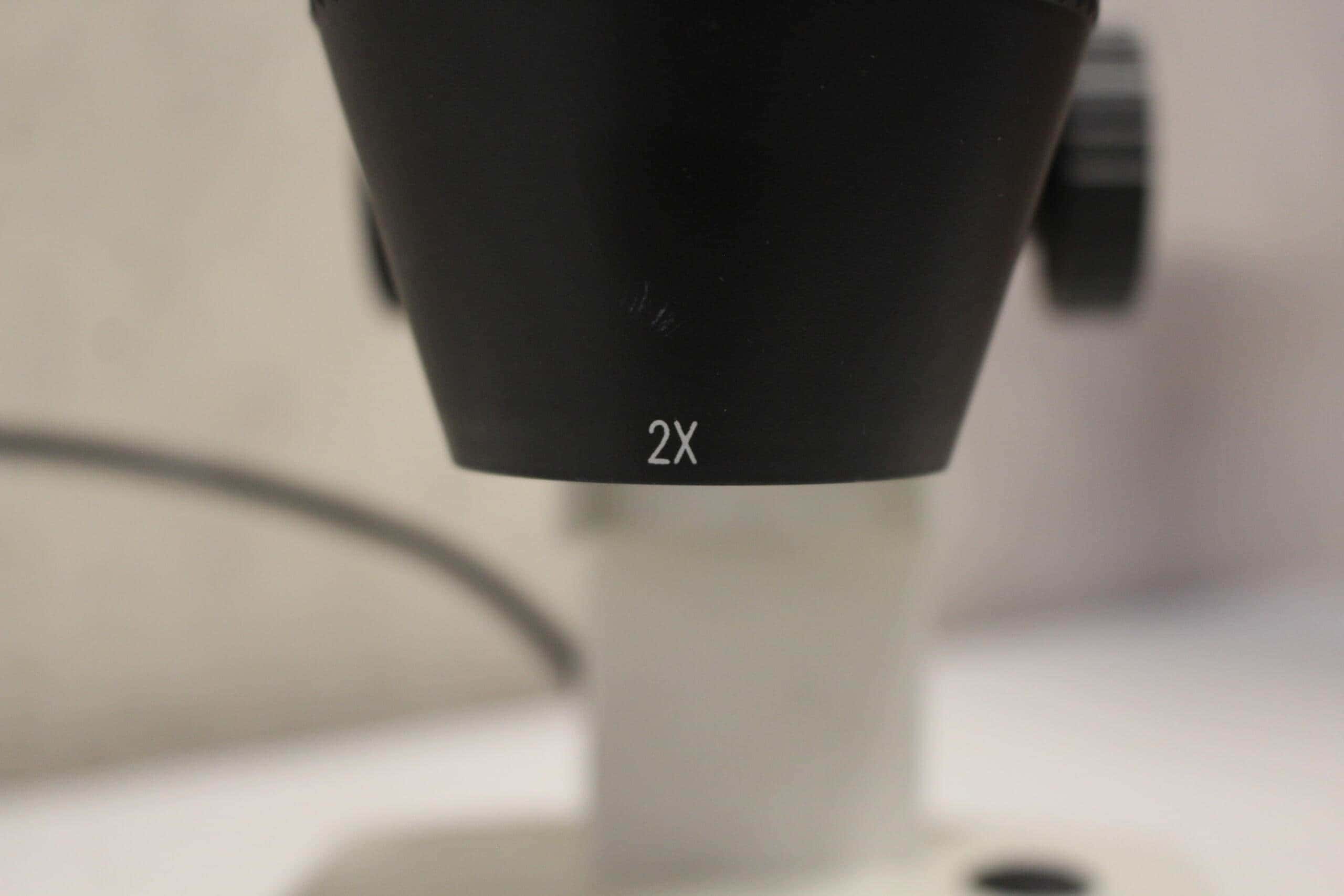 VWR STB 300 Stereomicroscope, image 3