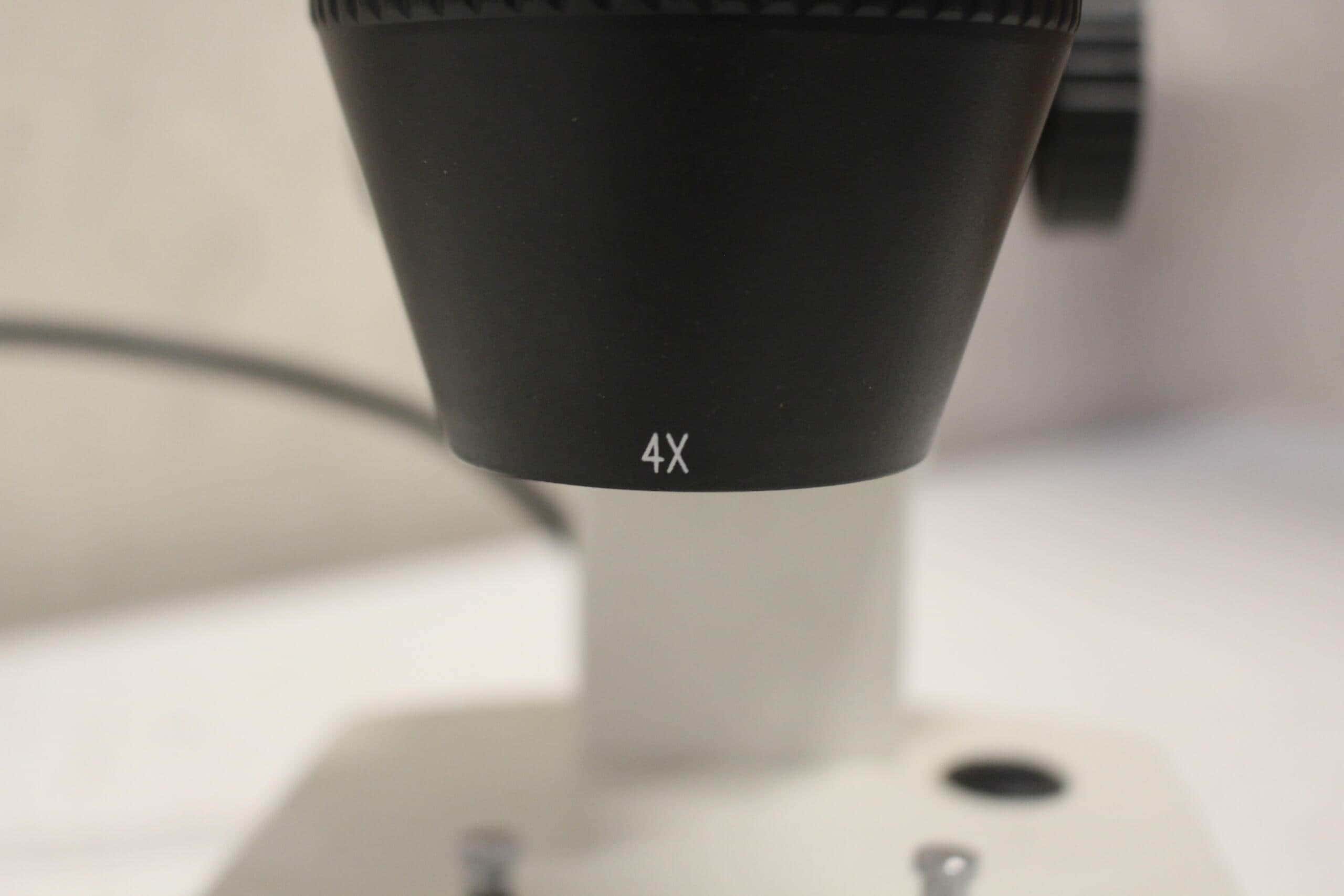 VWR STB 300 Stereomicroscope, image 4