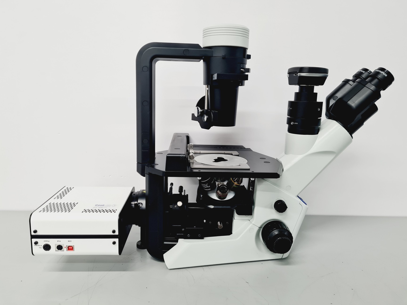 Olympus CKX53 Inverted Microscope (with CoolLED pE-300), image 4