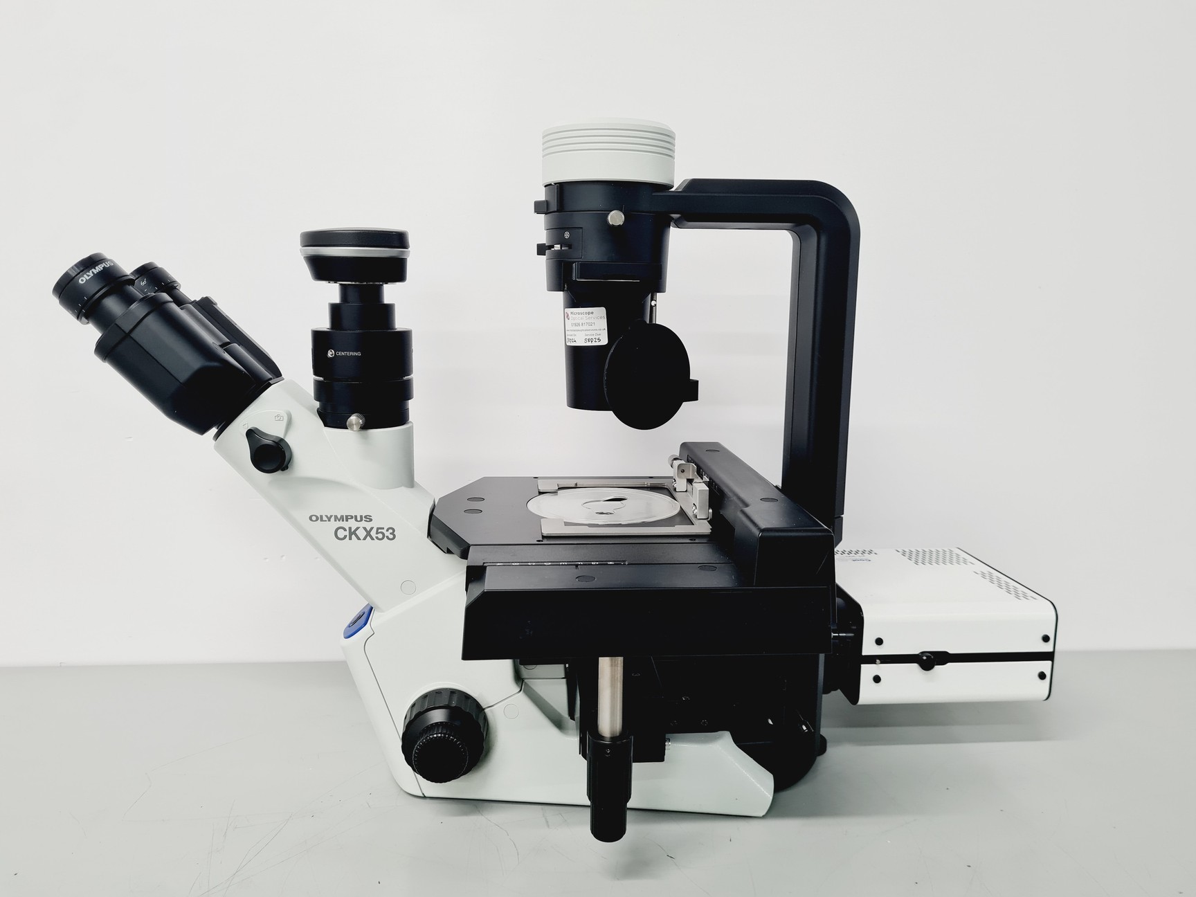 Olympus CKX53 Inverted Microscope (with CoolLED pE-300), image 6
