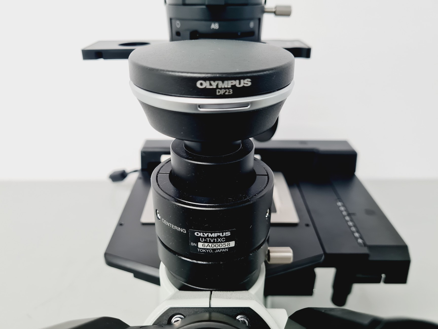 Olympus CKX53 Inverted Microscope (with CoolLED pE-300), image 10