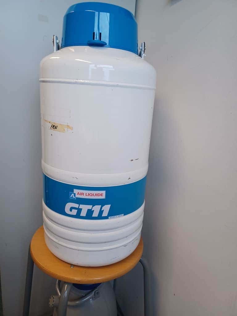 Air Liquide GT11 Cryopreservation container (Dewar)