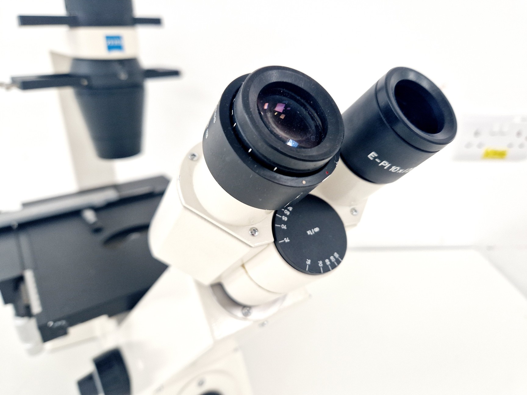 Zeiss Axiovert 25 Inverted Microscope (Phase Contrast), image 2