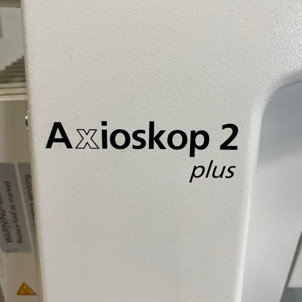 Zeiss Axioskop 2 Upright Fluorescence Microscope System RFP DAPI GFP DIC, image 4