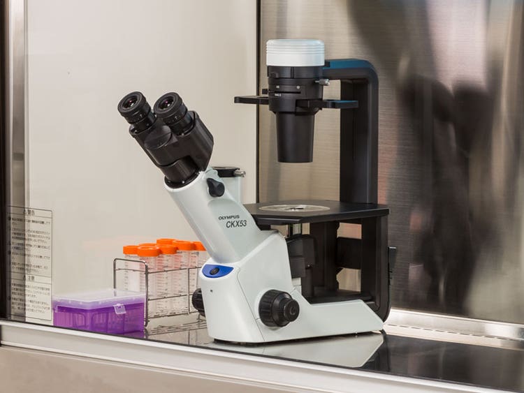 Olympus CKX53 Inverted Microscope (Trinocular, Phase Contrast), image 2
