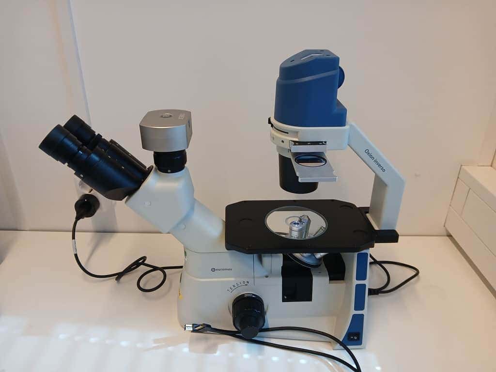 Euromex -Oxion Inverted Microscope