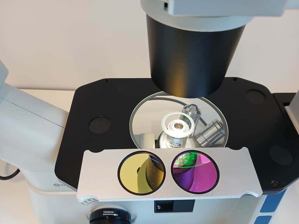 Euromex -Oxion Inverted Microscope, image 2