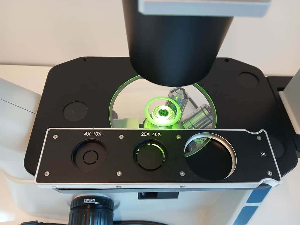 Euromex -Oxion Inverted Microscope, image 3