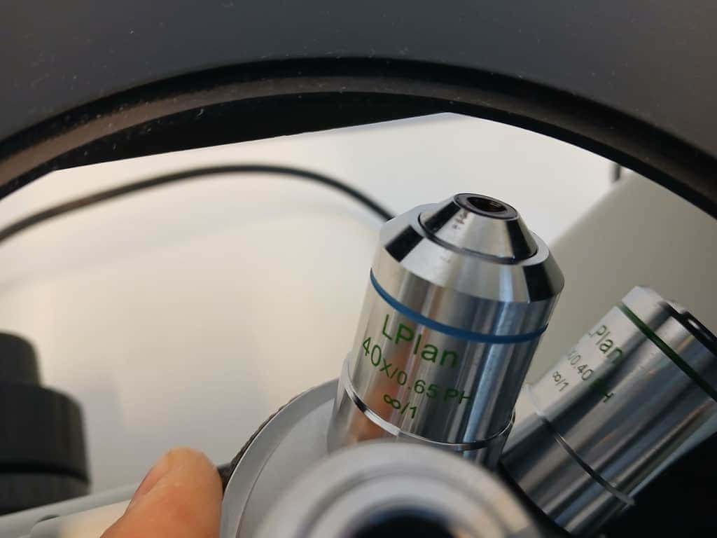 Euromex -Oxion Inverted Microscope, image 5