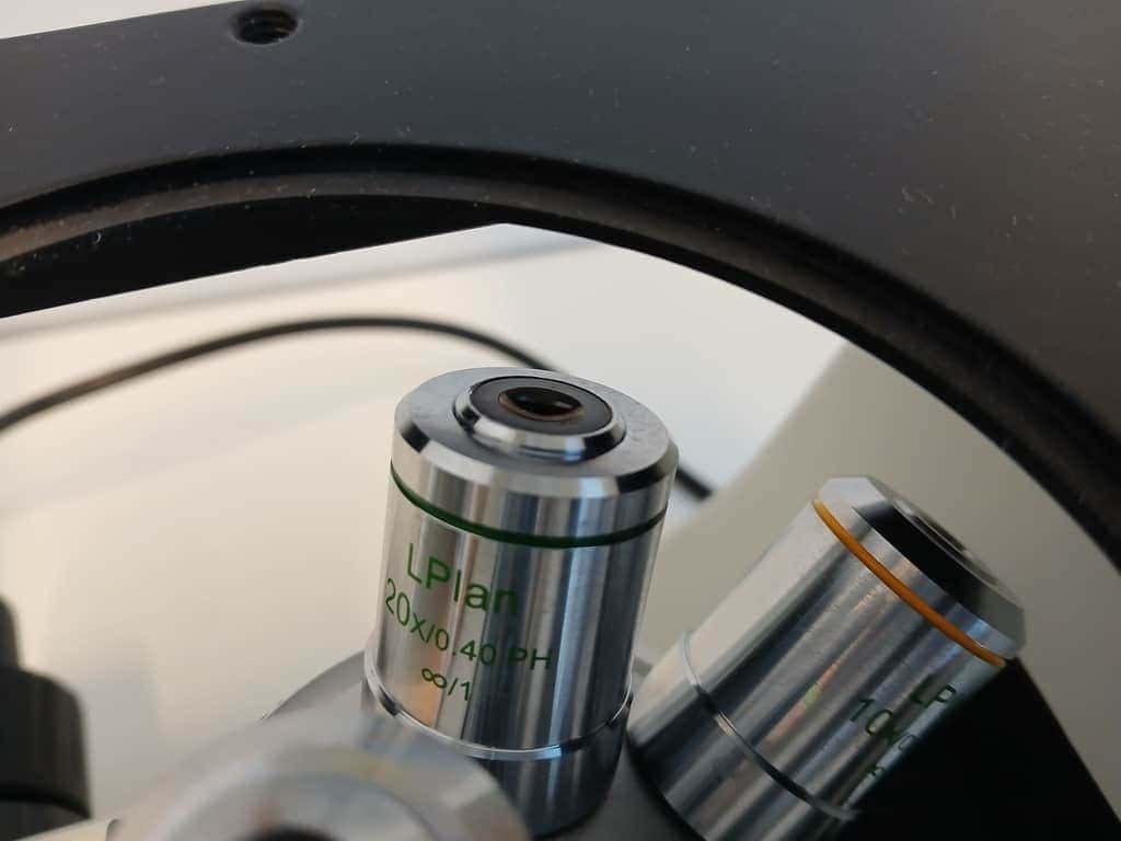 Euromex -Oxion Inverted Microscope, image 6