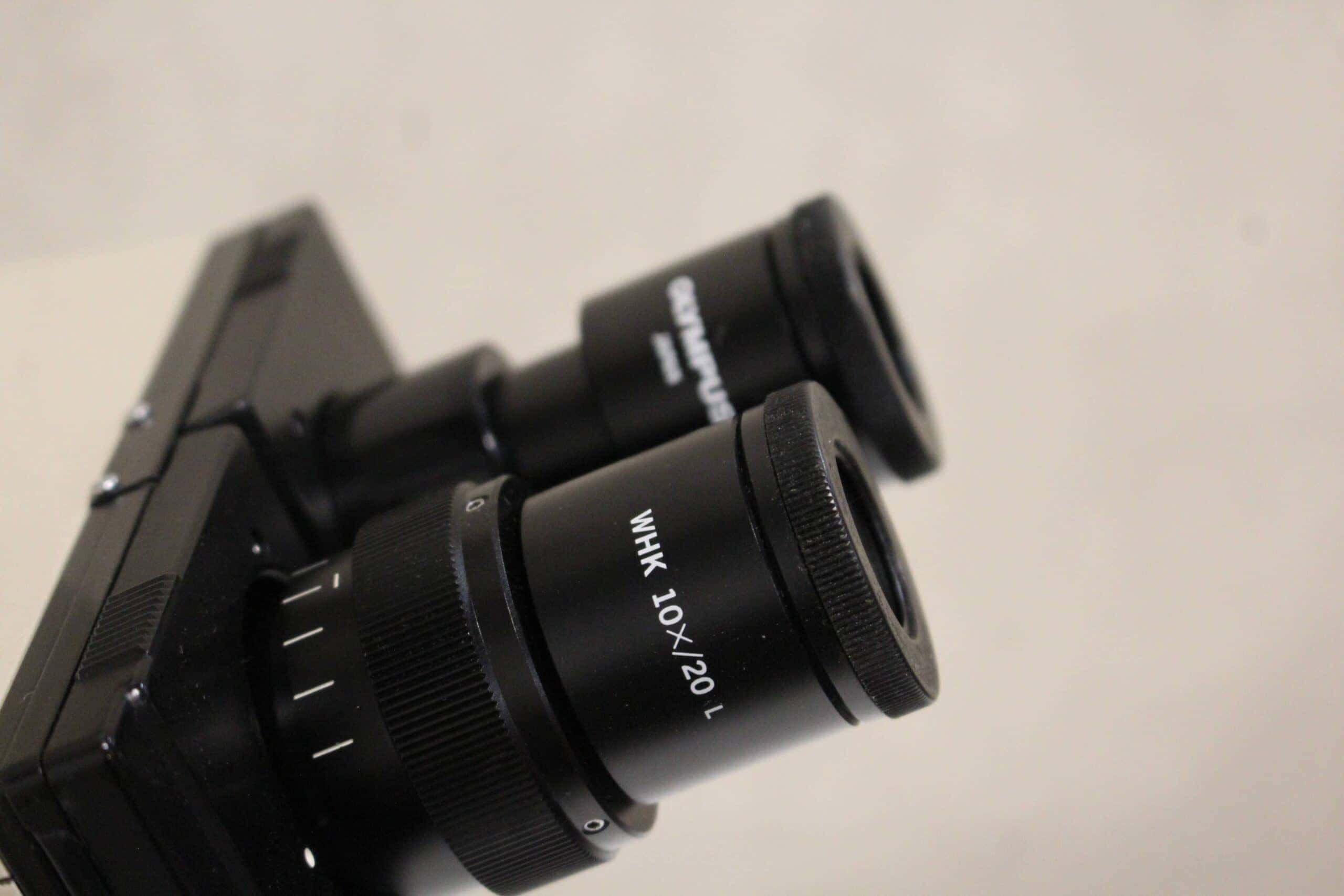 Olympus BH2-RFCA Trinocular Fluorescence Microscope, image 4