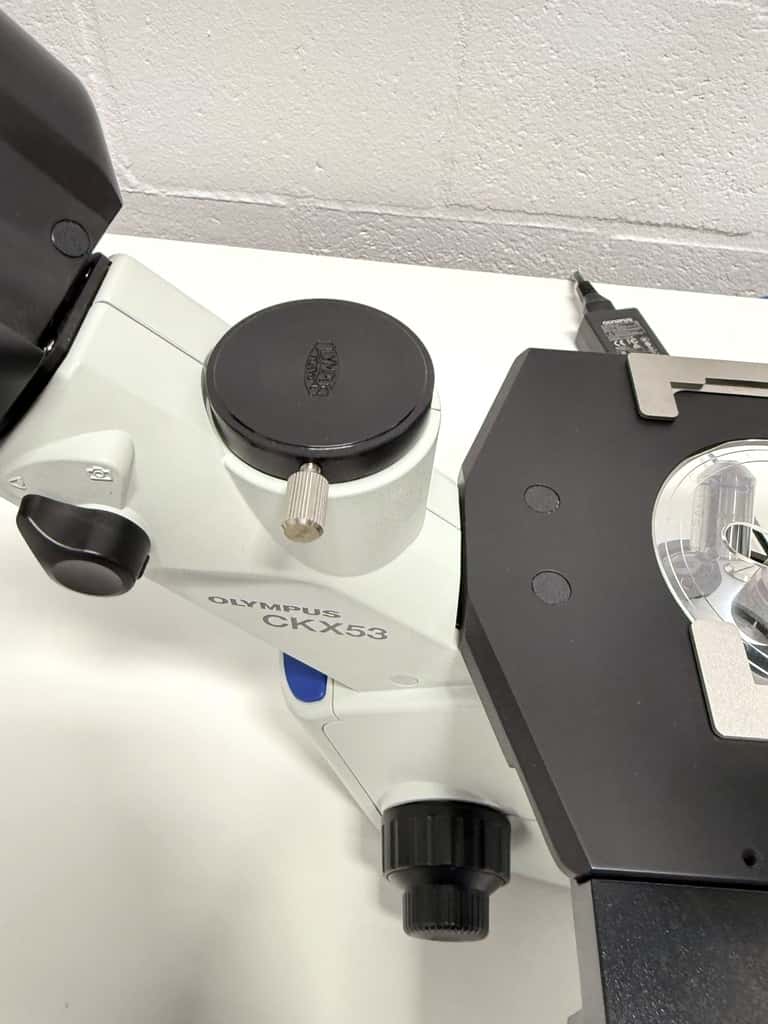 Olympus CKX53SF Inverted Microscope, image 3