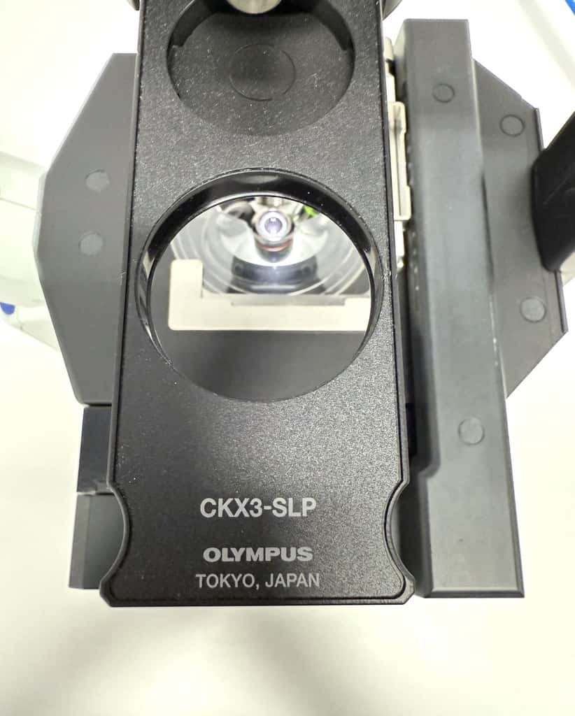 Olympus CKX53SF Inverted Microscope, image 4