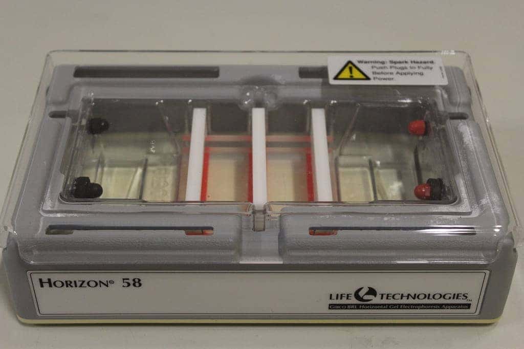 Invitrogen Horizon 58 Horizontal Gel Electrophoresis System (Gibco BRL)