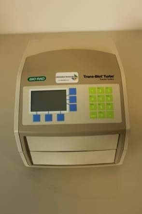 Bio-Rad Trans-Blot Turbo