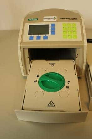 Bio-Rad Trans-Blot Turbo, image 2