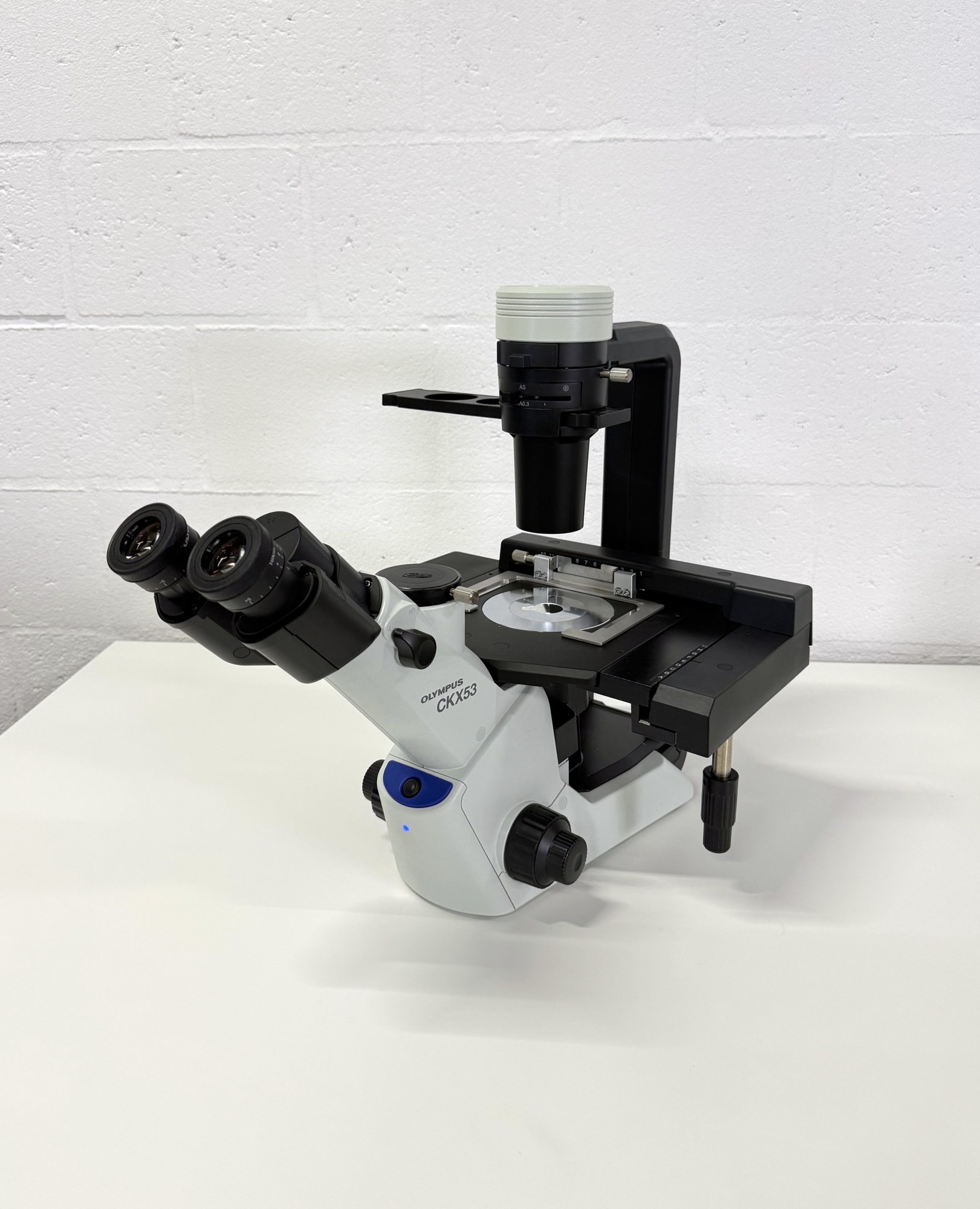 Olympus CKX53SF Inverted Microscope (iPC Phase Contrast)