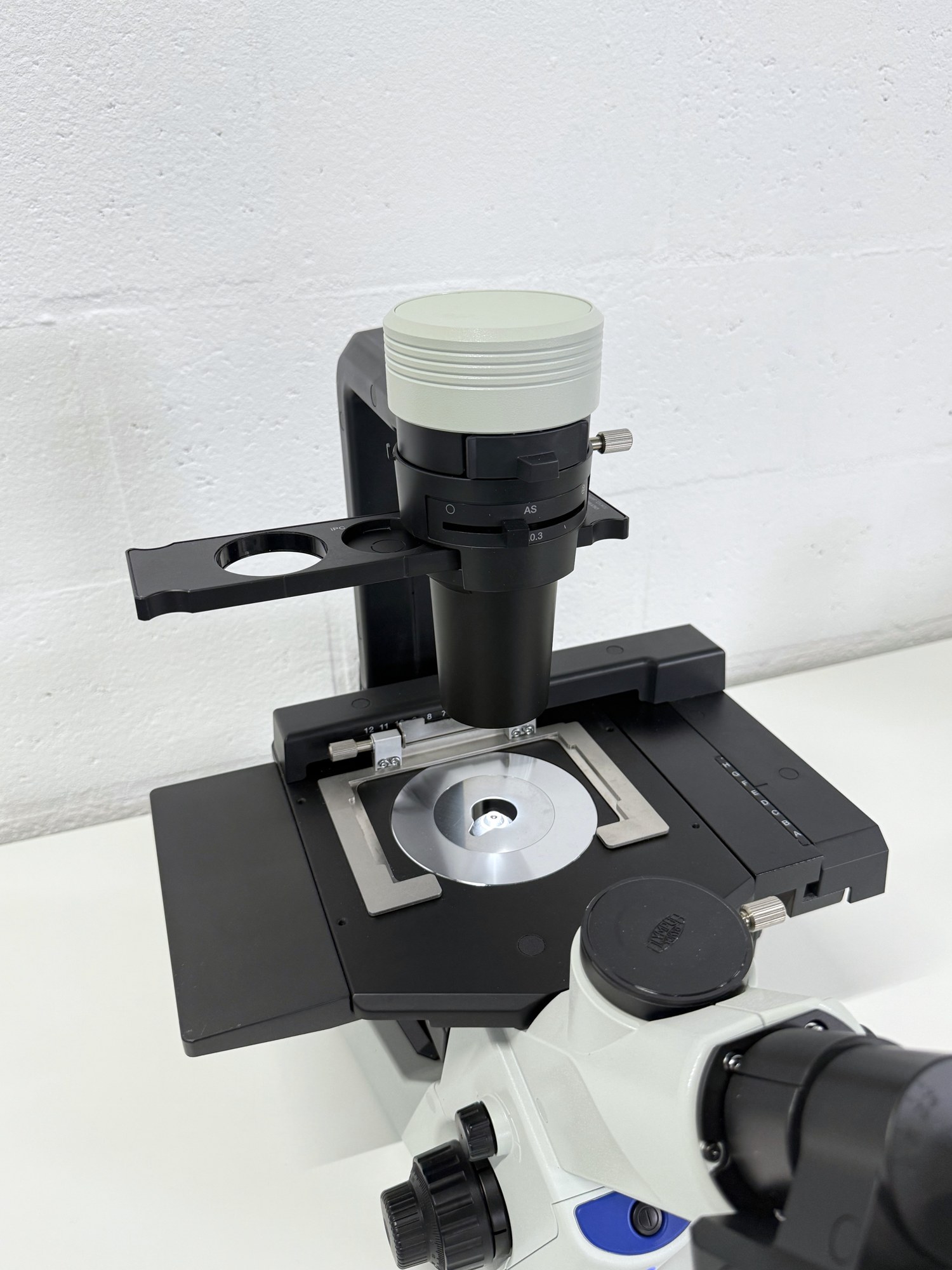 Olympus CKX53SF Inverted Microscope (iPC Phase Contrast), image 3
